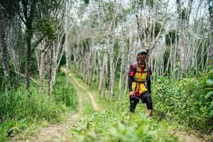 BIB: 
                            <button type="button" onclick="openModal(26294437)" class="btn btn-primary btn-sm float-right btn-popup" data-toggle="modal" data-target=".modal-high-quality">
                        <i class="fas fa-shopping-cart"></i> Add to Cart
                    </button>
                                            <button type="button" onclick="isThisMe(26294437, true)" class="btn btn-success btn-sm float-right btn-popup btn-isme hidden" data-toggle="tooltip" data-placement="bottom" title="นี่คือรูปของคุณใช่ไหม คลิกที่นี่เพื่อเอาเข้าอัลบั้ม">
                        <i class="fas fa-plus"></i> Add to album
                    </button>
                    <button type="button" onclick="isThisMe(26294437, false)" class="btn btn-warning btn-sm float-right btn-popup btn-isnotme hidden">
                        <i class="fas fa-ban"></i> Remove from album
                    </button>